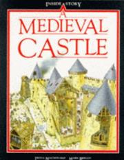 A Medieval Castle (Inside Story)