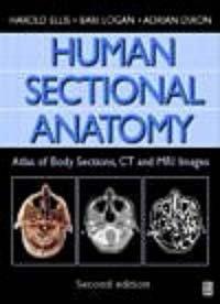 Human sectional anatomy