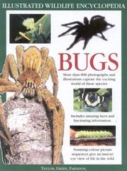 Big bug book