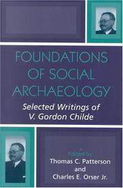 Foundations of social archaeology