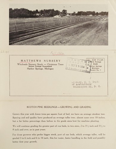 Fall liners and Christmas tree stock, fall 1954