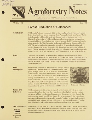 Forest production of goldenseal