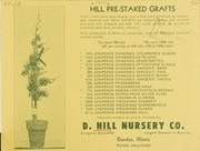 Hill pre-staked grafts