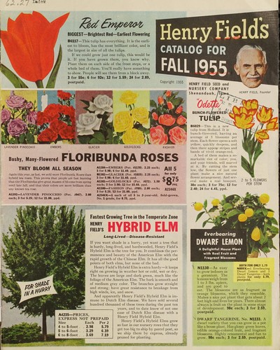 Henry Field's catalog for 1955