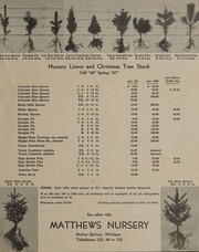 Nursery liners and Christmas tree stock