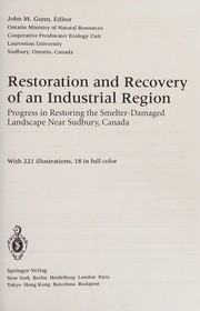 Restoration and Recovery of an Industrial Region
