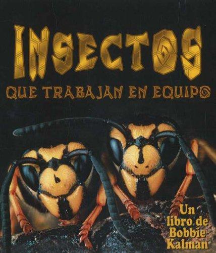 Insects That Work Together