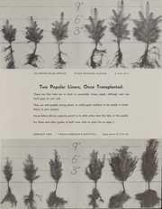 Wholesale nursery stock