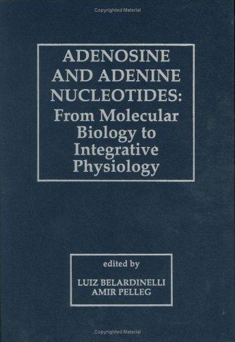 Adenosine and adenine nucleotides