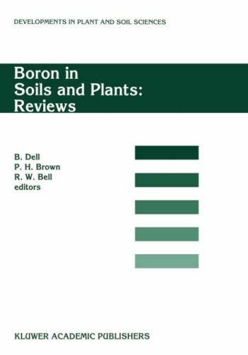 Boron in soils and plants