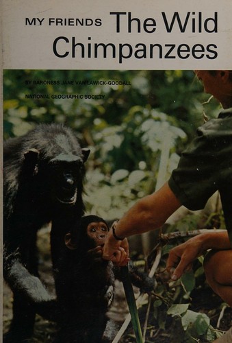 My friends, the wild chimpanzees,