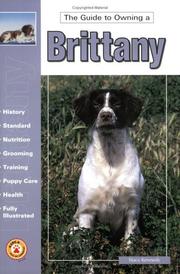 The guide to owning a brittany