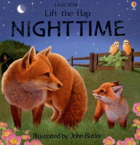 Nighttime (Luxury Lift-The-Flap Learners)