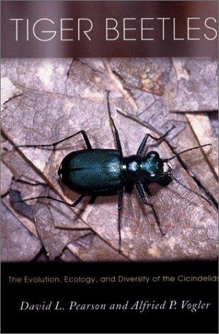 Tiger beetles