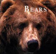 Bears