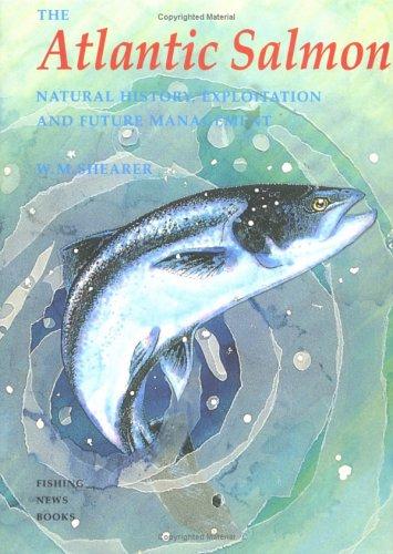 The Atlantic salmon