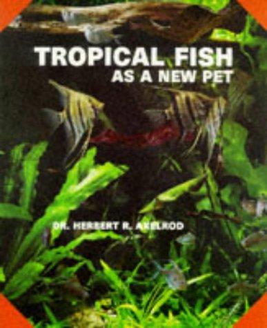 Tropical fish as a new pet