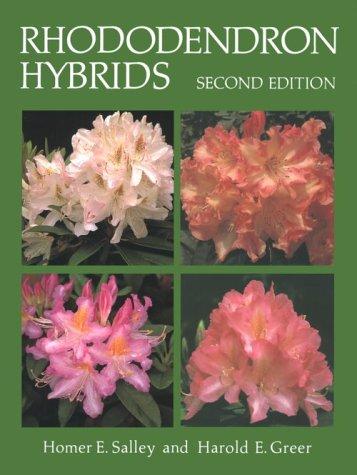 Rhododendron hybrids