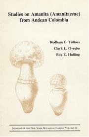Studies on Amanita (Amanitaceae) from Andean Colombia