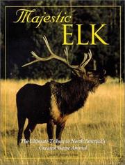 Majestic Elk