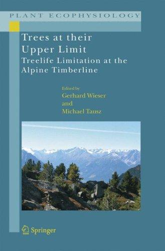 Trees at their upper limit