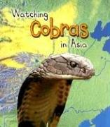 Watching cobras in Asia
