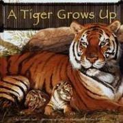 A Tiger Grows Up (Wild Animals)