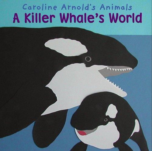 A killer whale's world