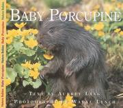 Baby Porcupine (Nature Babies)