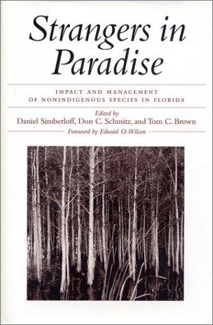 Strangers in paradise