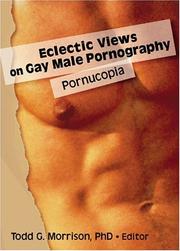 Eclectic Views on Gay Male Pornography
