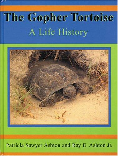 The Gopher Tortoise