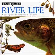 River life