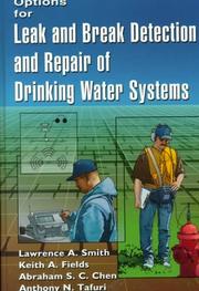 Options for leak and break detection and repair of drinking water systems