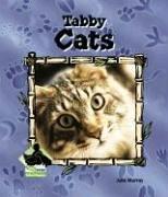 Tabby Cats (Animal Kingdom)