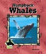 Humpback Whales (Animal Kingdom)