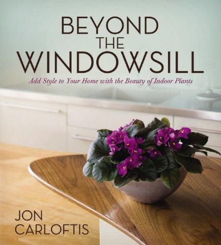 Beyond the windowsill
