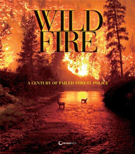 The wildfire reader