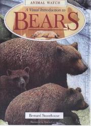A Visual Introduction to Bears (Animal Watch)