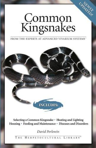 Common Kingsnakes (Advanced Vivarium Systems)