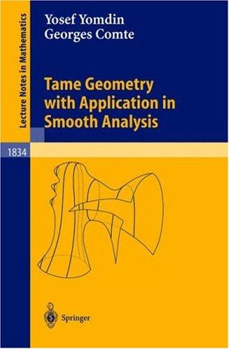 Tame geometry with application in smooth analysis