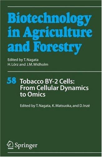 Tobacco BY-2 cells