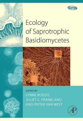 Ecology of saprotrophic basidiomycetes