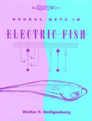 Neural nets in electric fish