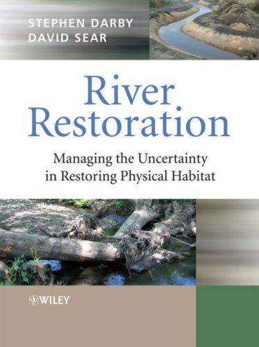 River restoration