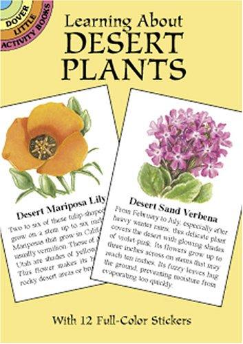 Learning About Desert Plants
