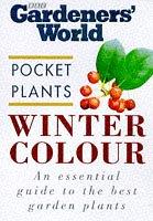 Winter colour