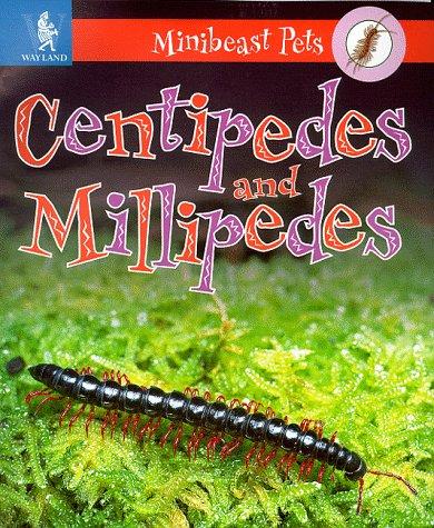 Millipedes and Centipedes (Minibeast Pets)