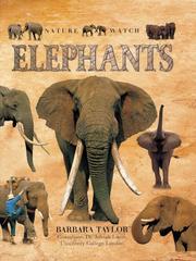 Elephants - Nature Watch