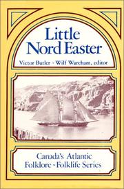 The little nord easter